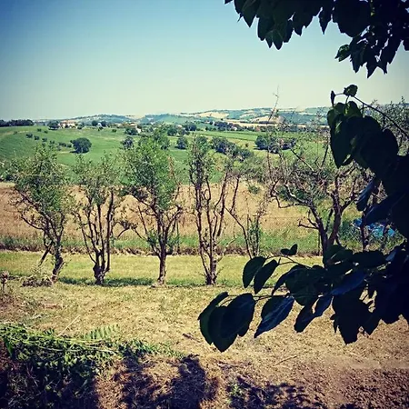 Bed & Breakfast Montsegur 3*