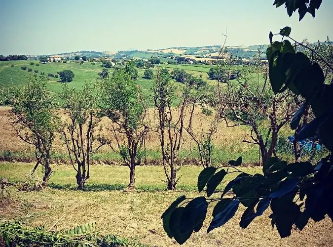 Bed & Breakfast Montségur 3*